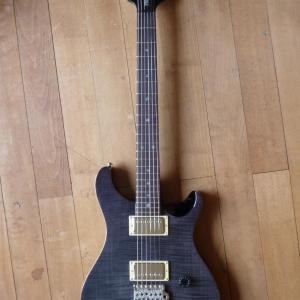 PRS SE Custom 22 Tremolo