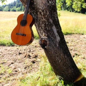 Framus am Baum