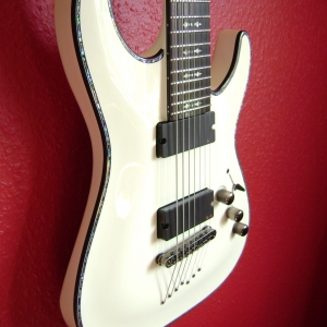 nochmal Schecter C-7 Hellraiser WH (EMG707-TW) :D