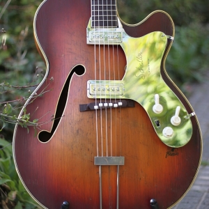 Framus Florida mit Schaller-Schlagbrett