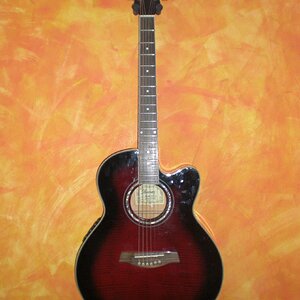 Ibanez AEG20