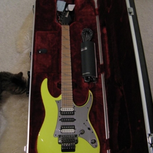 Ibanez 3550MZ DY