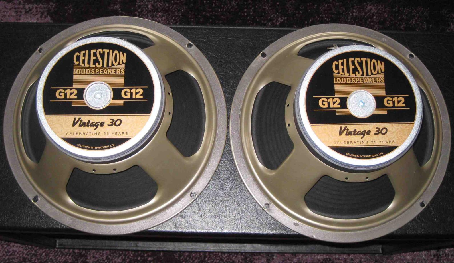 Celestion V30   1