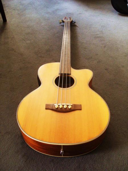 Cheri Fretless-Acoustic