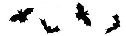 chiroptera2