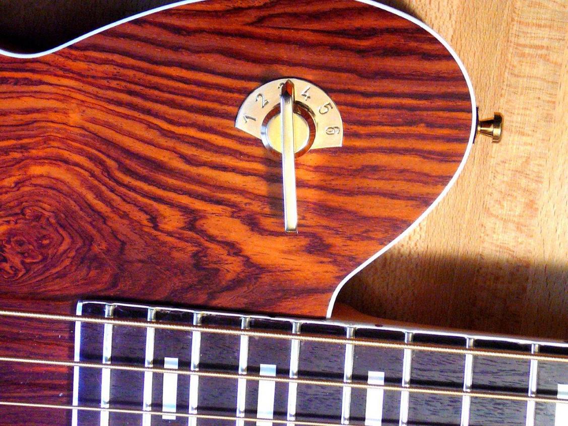 Der Framus Nashville Semi-Acoustic Bass mit Cocobolo-Decke und 6-fach Vari-Tone Switch. Durch den Push-Pull Volumenregler wird die Spule ein- und ausgeschaltet: der Mittenfilter wird so zur Tonblende, einem Höhenregler.