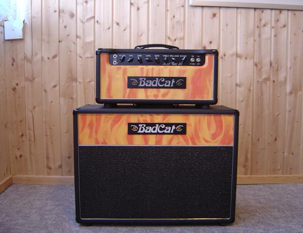 Die passende Box gibt es auch dazu.
Speaker sind modifizierte Celestion Vintage 30