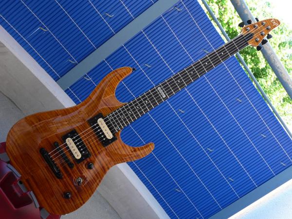 ESP Horizon  USA Custom