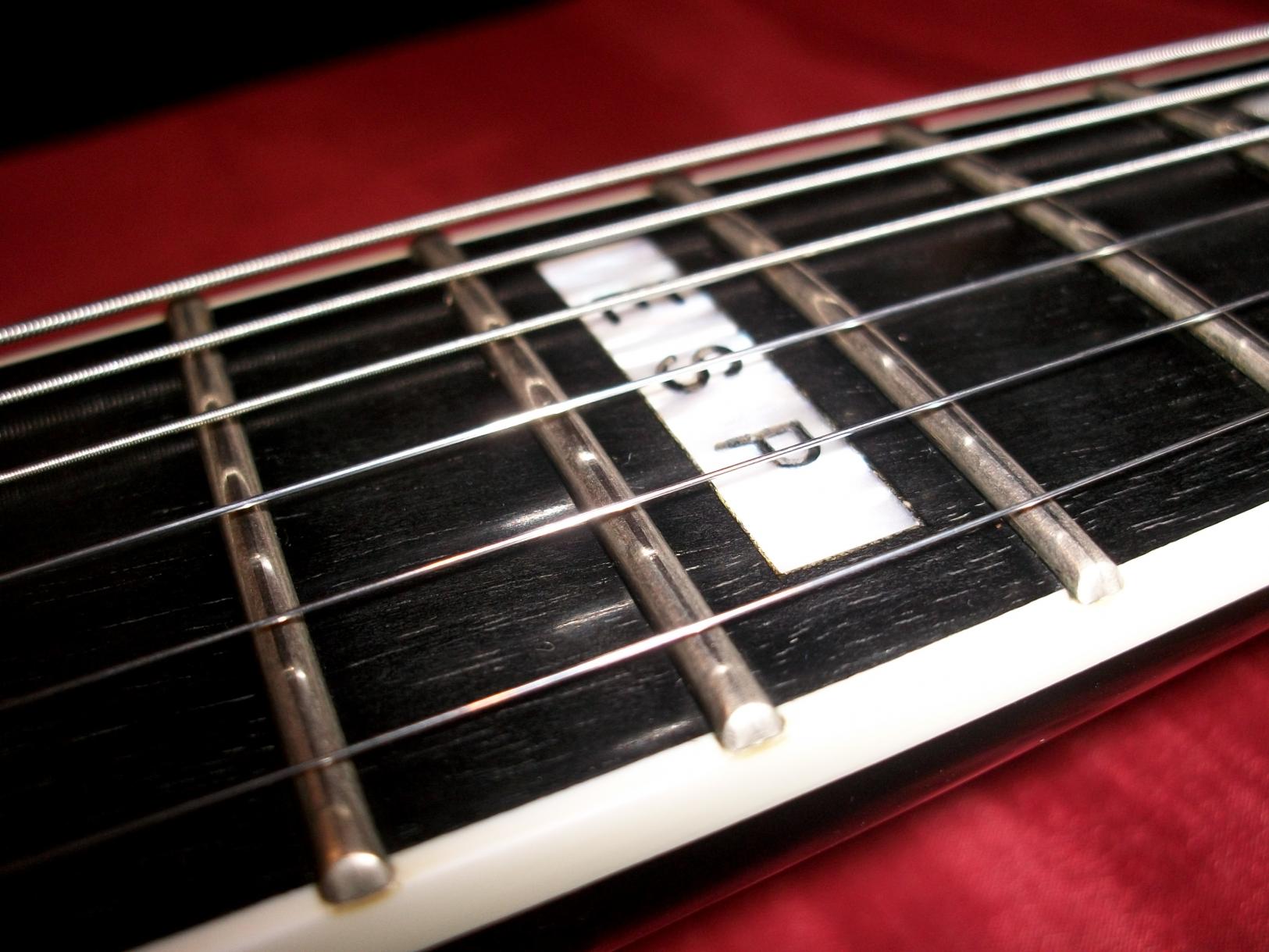 ESP Logo Fretboard