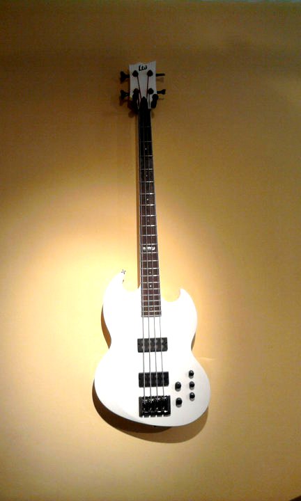 ESP - LTD 
VIPER 254 
2006