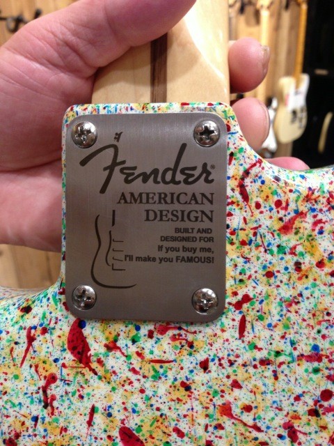 Fender Visitor Backplate