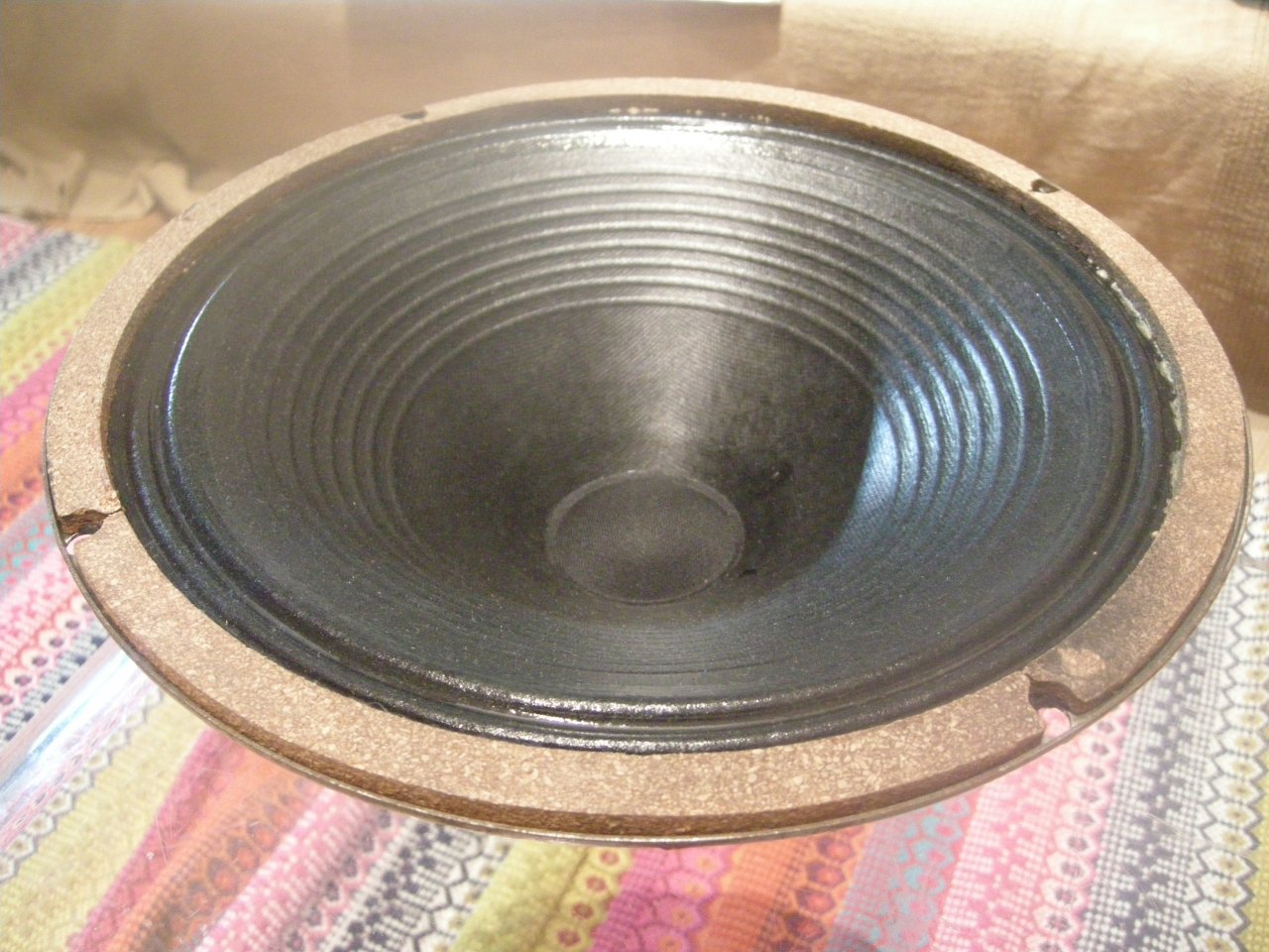 G12M Speaker2 Cone Reconed2