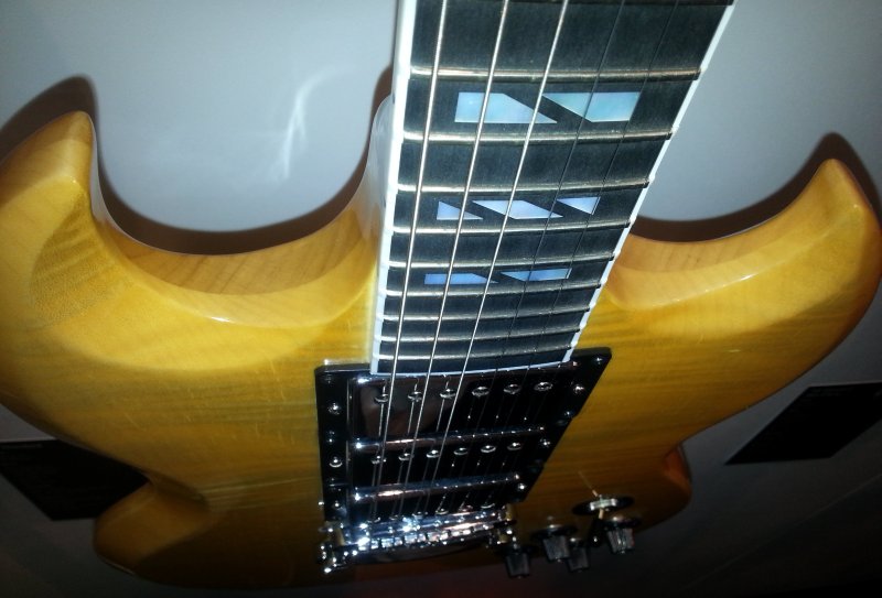 Gibson SG Custom Natura Detaill