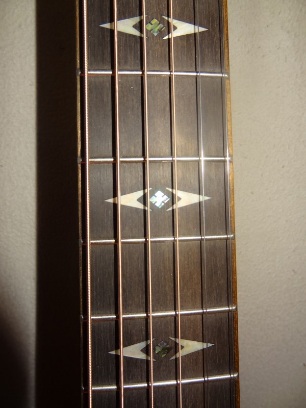 Griffbrett Mit Abalone Inlays (600x800)