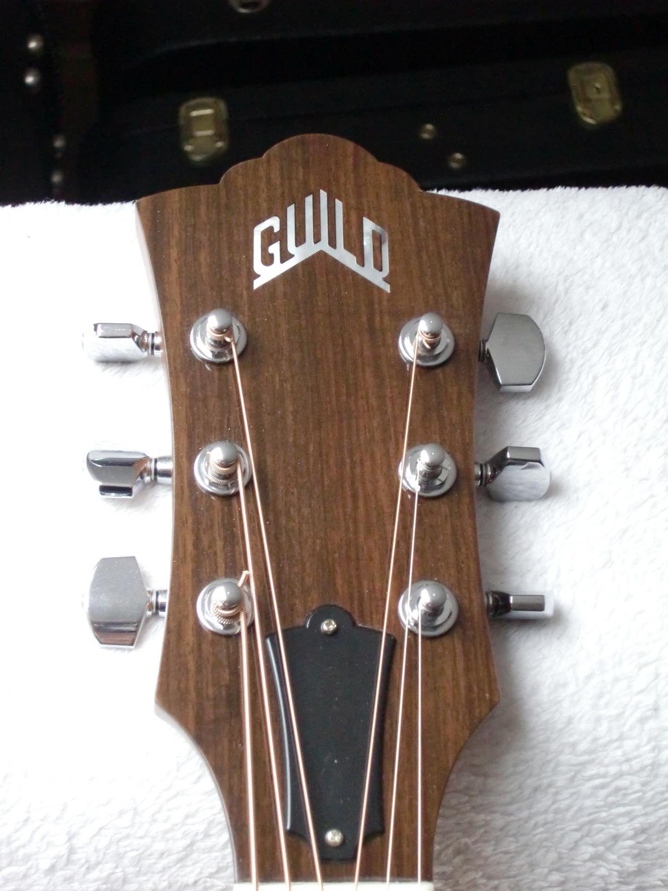 GUILD F-50 Standard