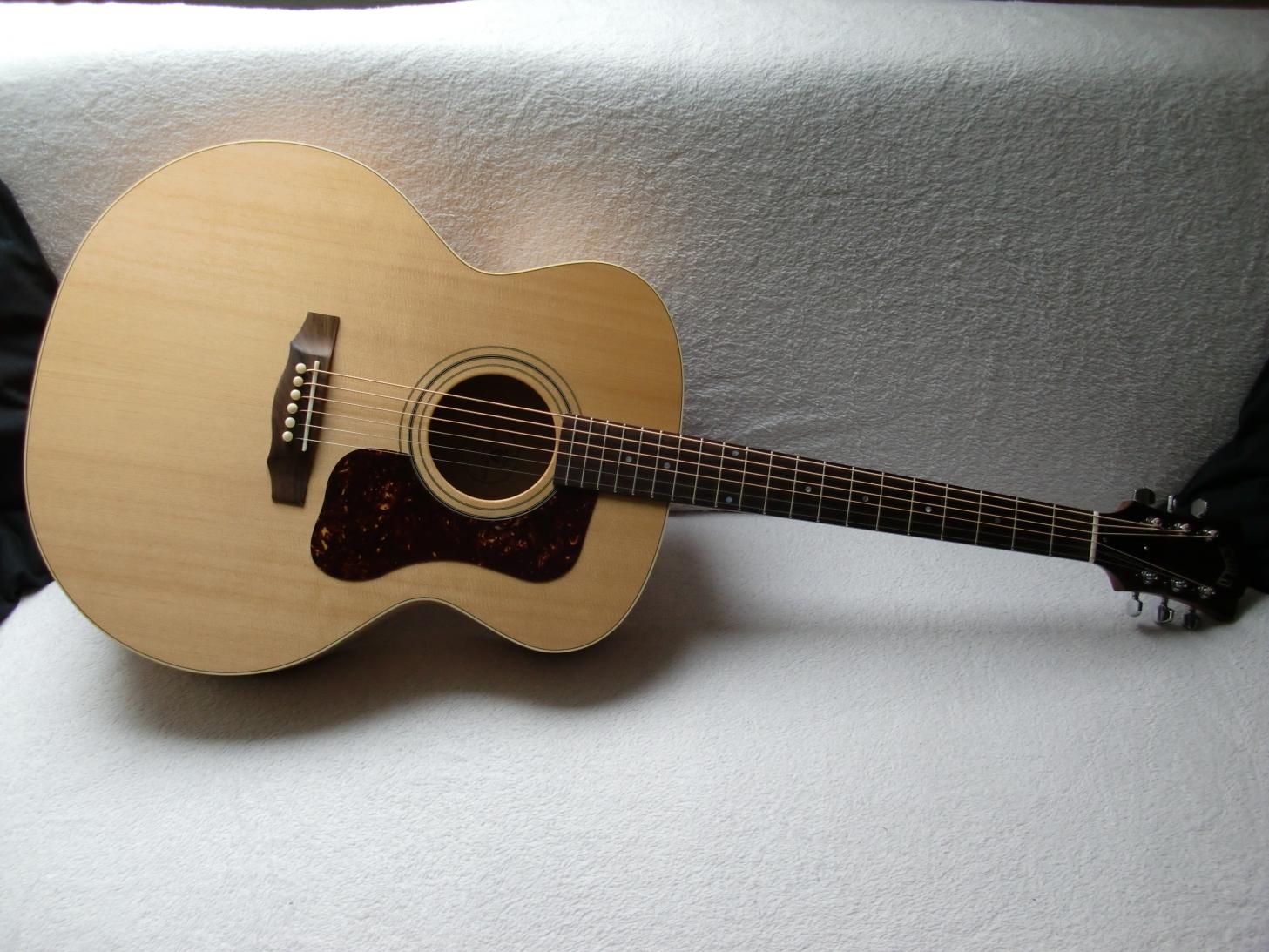 GUILD F-50 Standard