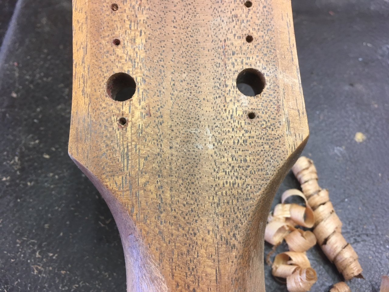 Headstock reshape davor I