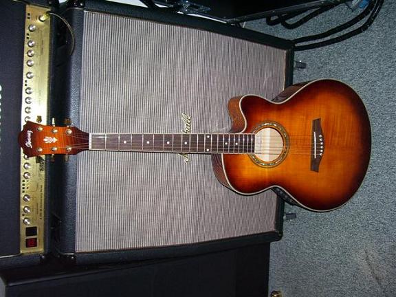 IBANEZ AEL20E-VV