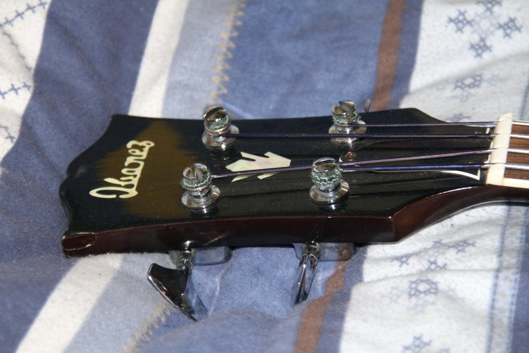 Ibanez Recorder 2381 (1)