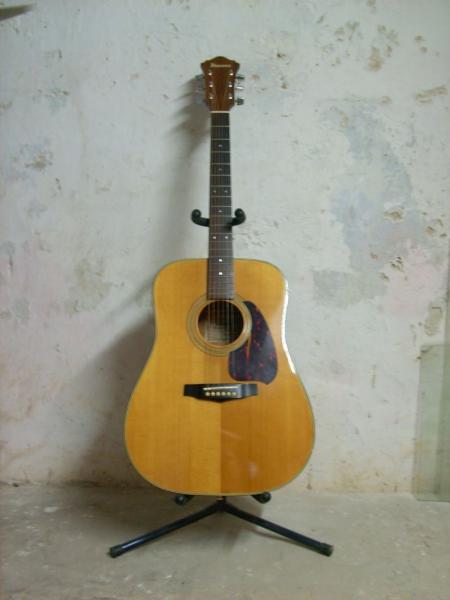 Ibanez V 300