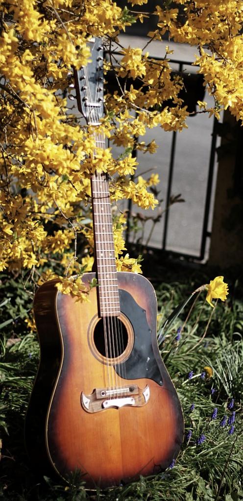 Meine Framus Texan (12) - um 1970 gebaut.