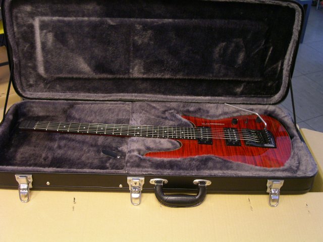 Original Koffer zur Steinberger ZT-3 mit Inhalt