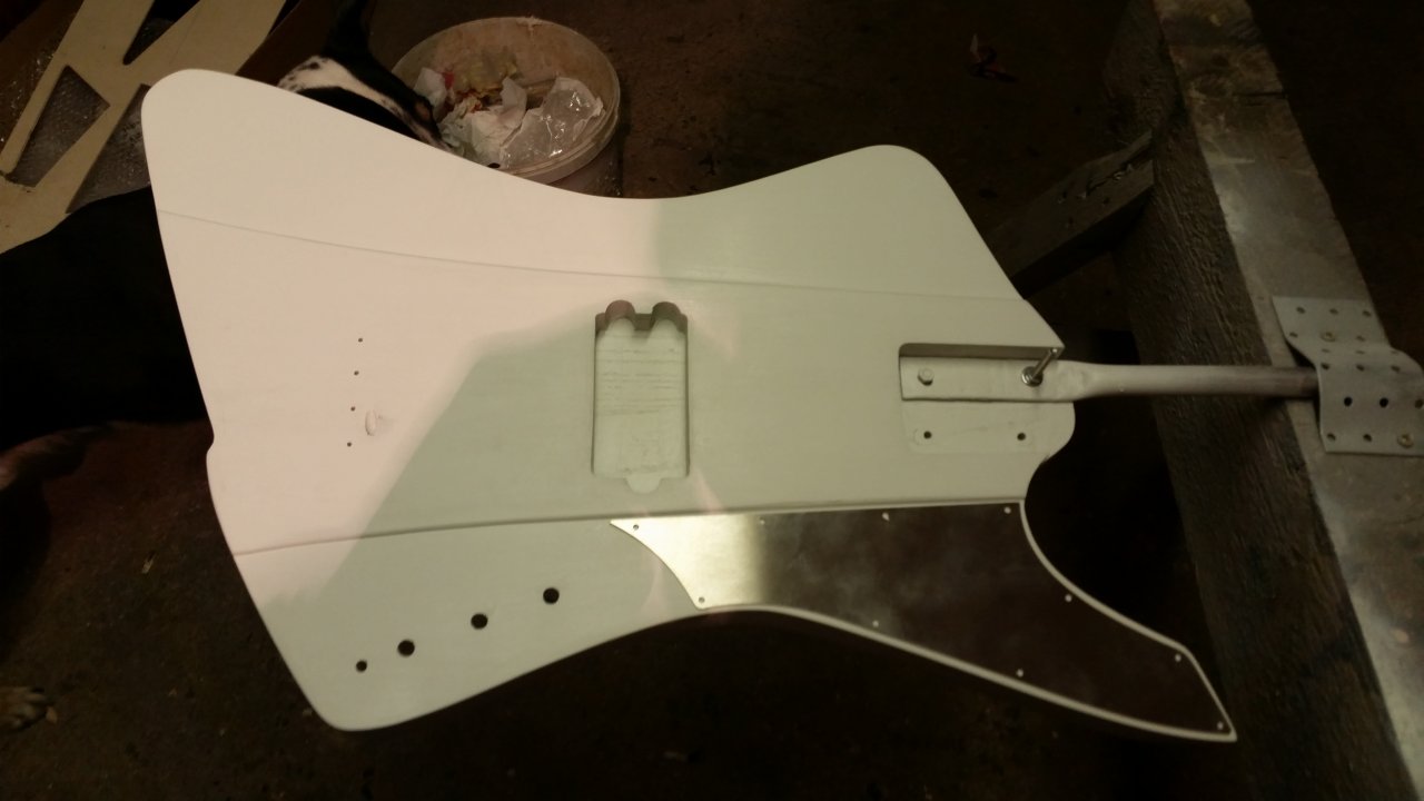 Passprobe Pickguard.