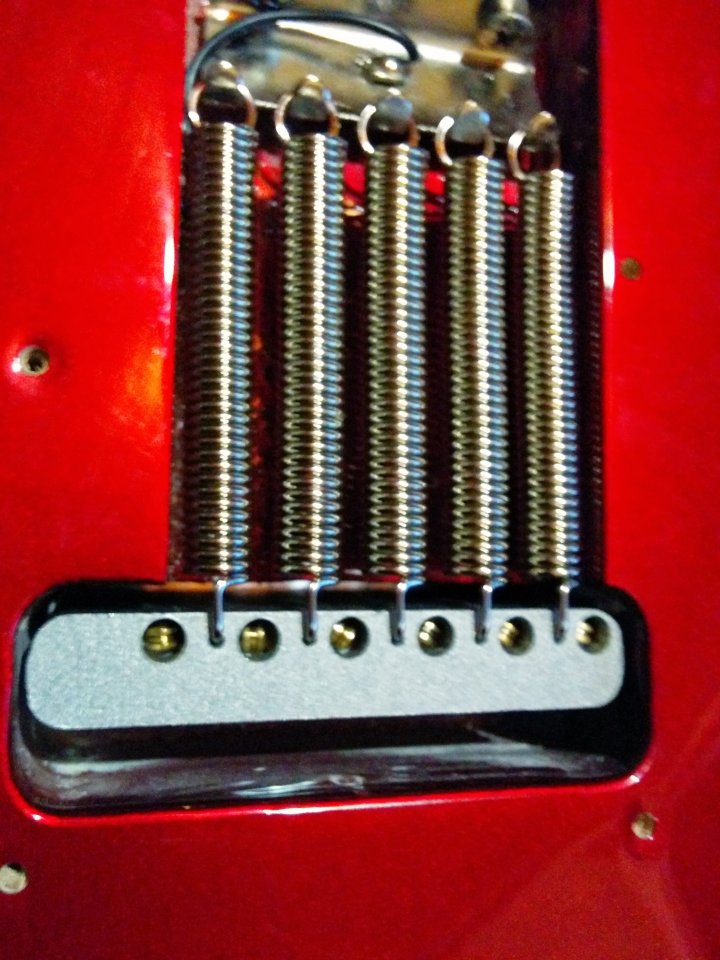 Raw Vintage Tremolo Springs