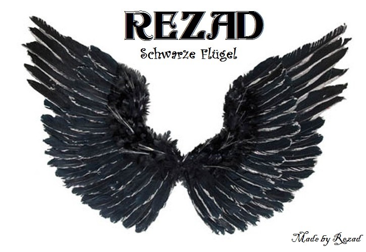 Rezad - Schwarze Flügel