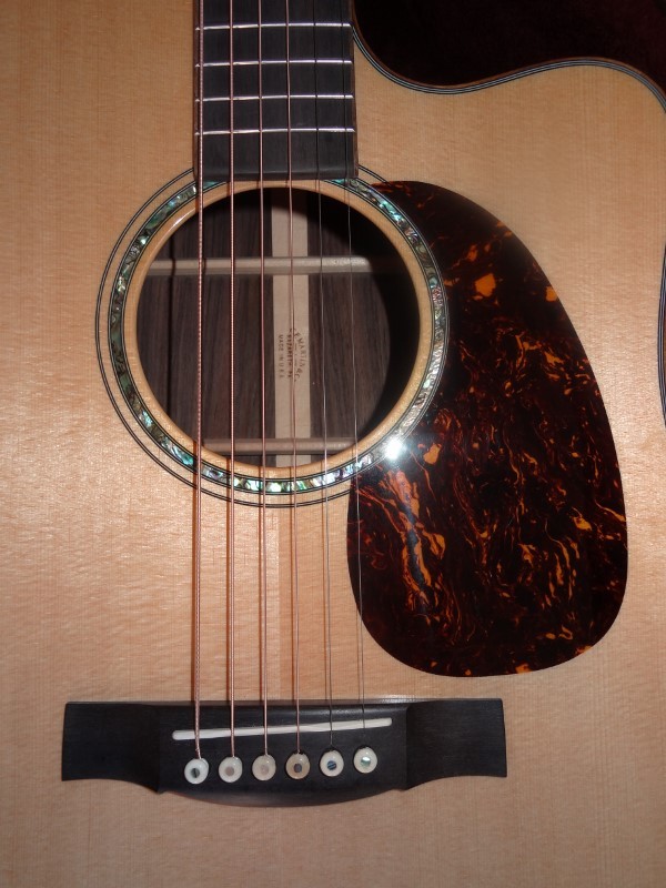 Schallloch-Pickguard-Steg