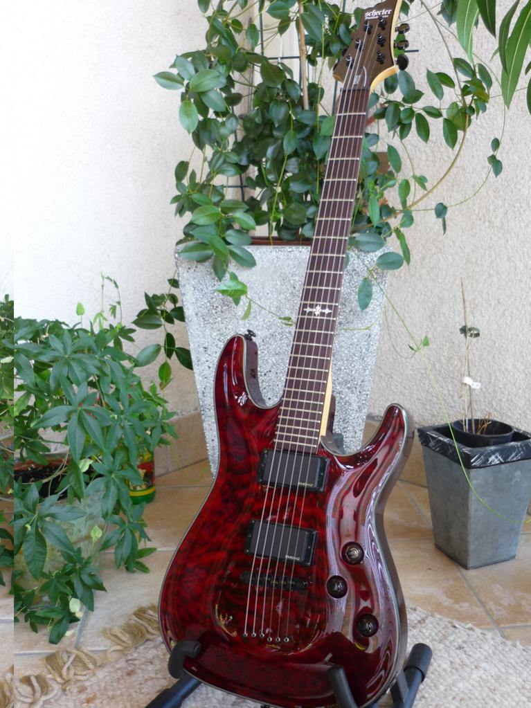 Schecter Damien Special