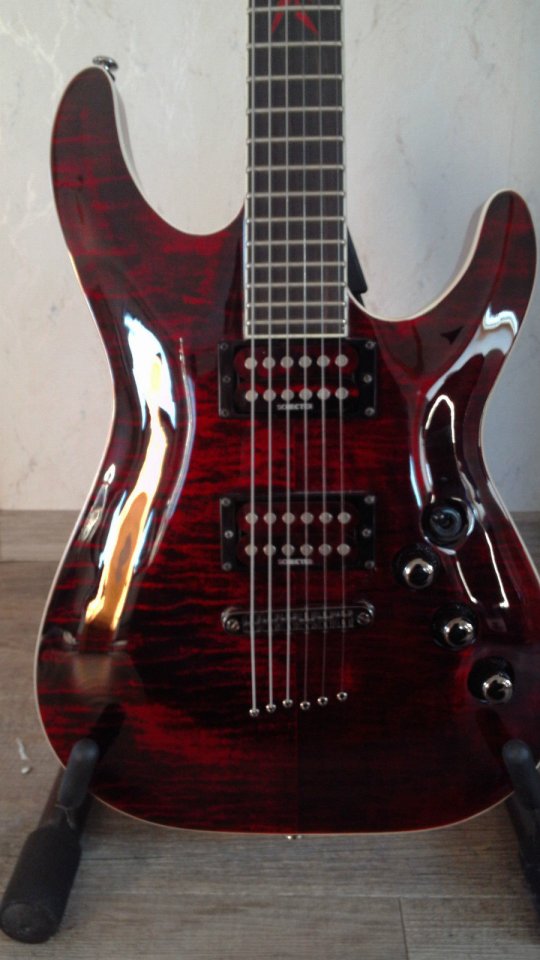 Schecter3