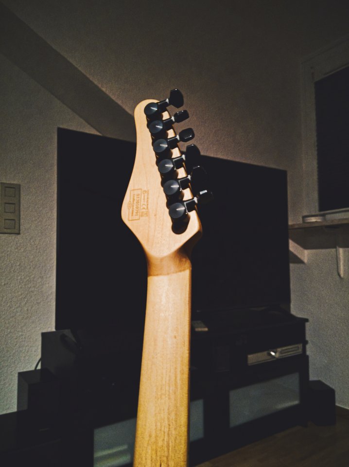 Schecter_5