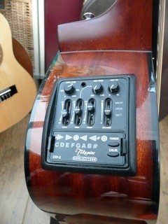 Takamine 03