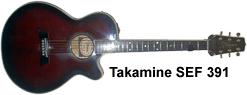 takamine sef 391