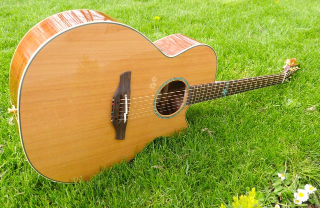 TAKAMINE TSF40