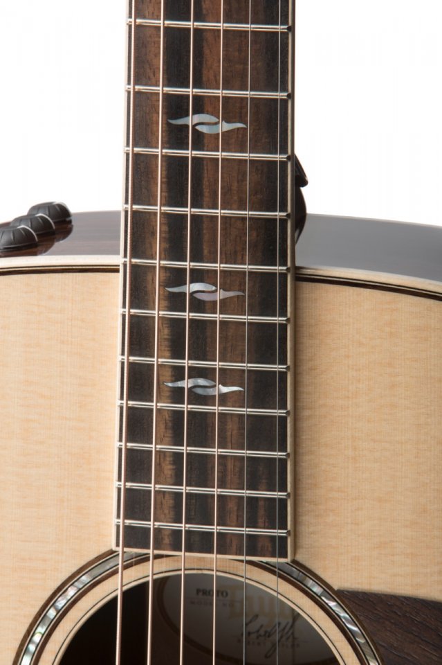 Taylor-810e-DLX-inlay-2017