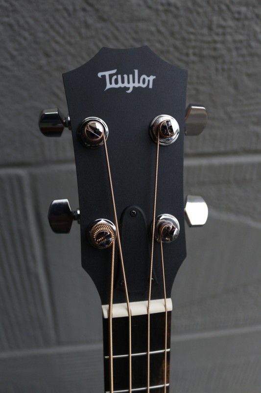 Taylor-gs-mini-e-bass06