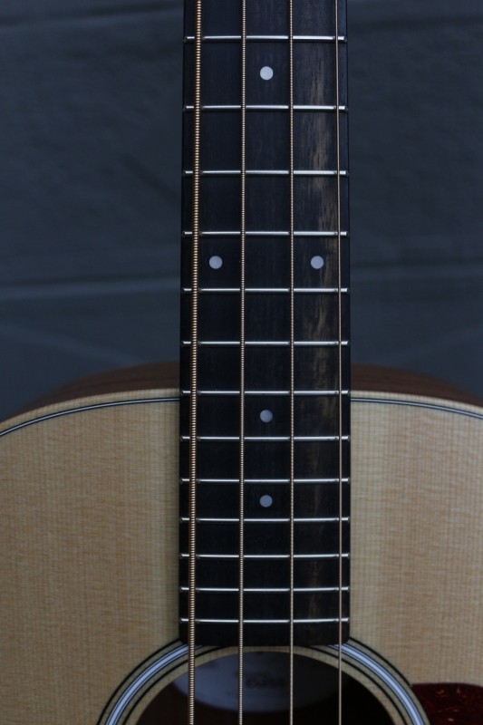 Taylor-gs-mini-e-bass31