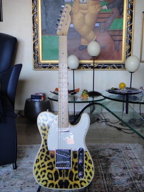 US Tele, modified with  Gotoh Bridge, Seymore Duncan and Bill Lawrence PU's